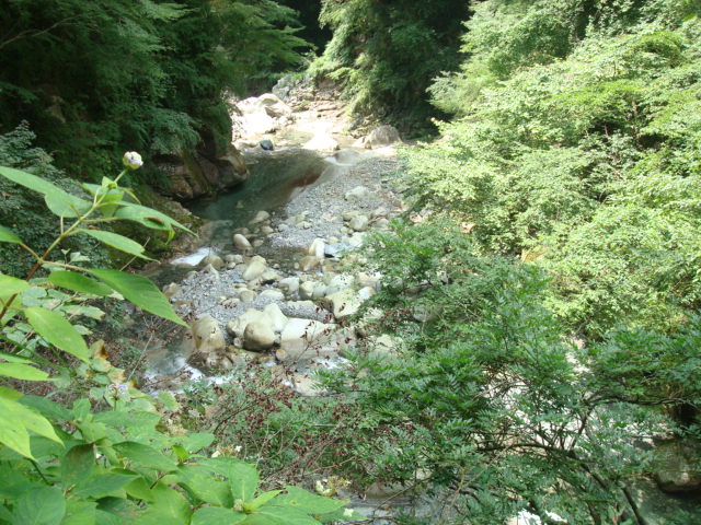 a0048040_22322235.jpg