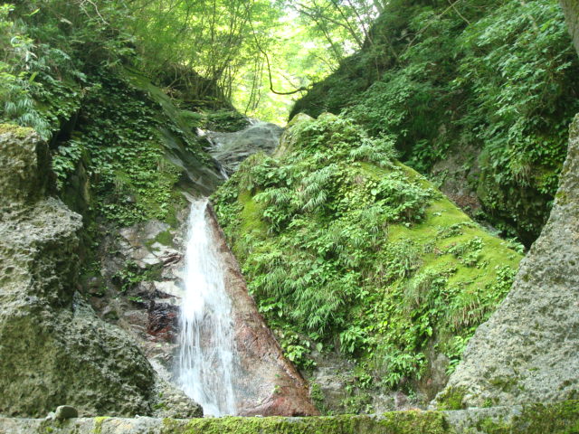 a0048040_2232837.jpg