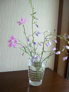 e0110940_9114954.jpg