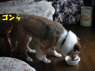 お尻がテーブルにゴッツン♪_e0195743_183643.jpg