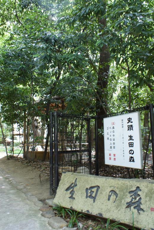 いにしえの神秘 神戸のパワースポット 生田の森_b0063958_20582371.jpg