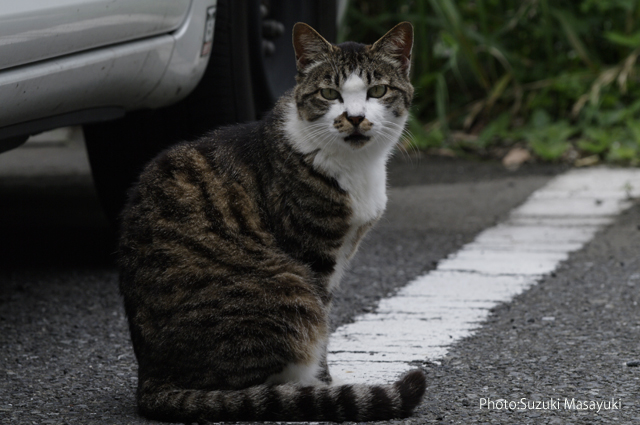 その愛すべきかけがえのない命に。。_b0174465_6581968.jpg