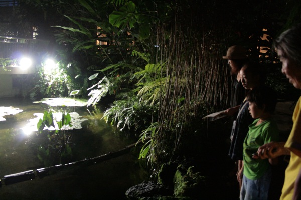 植物園でサイレント・ランニング_a0013866_0444988.jpg