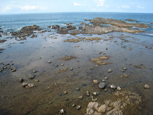f0021369_15162333.jpg