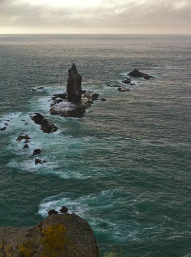 f0021369_15384938.jpg