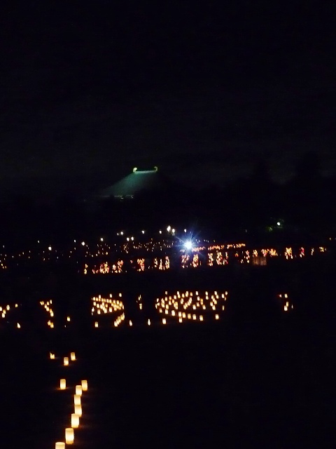 奈良燈花会２０１０　春日野園地会場_d0042474_104304.jpg