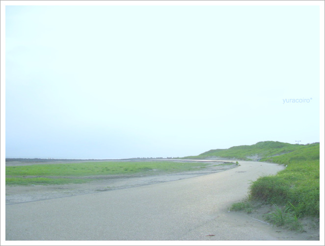b0140877_1965224.jpg
