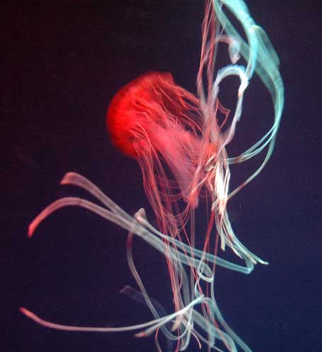 b0057679_8525536.jpg