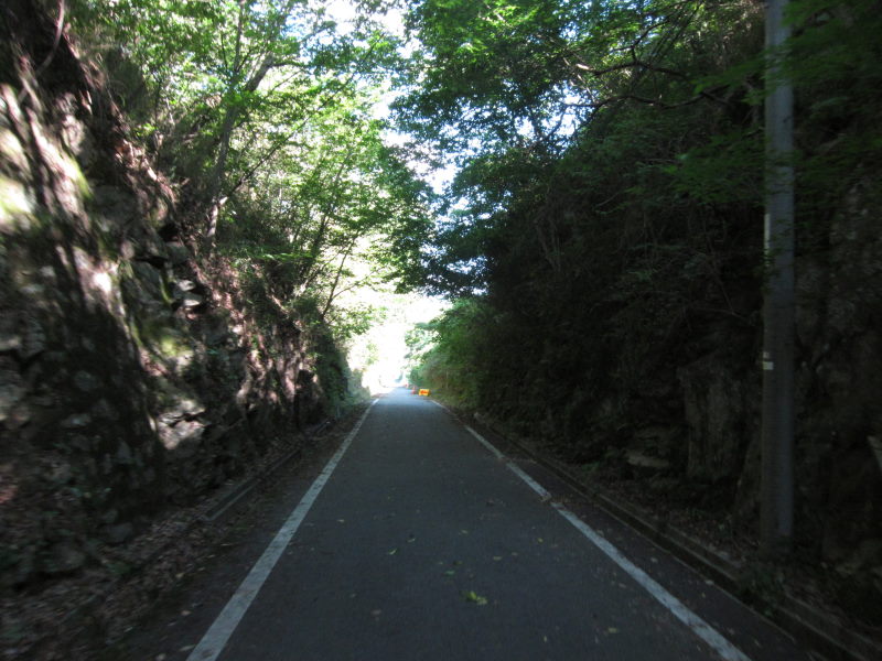 夏でも爽やか！片鉄ロマン街道－2010夏青春18切符の旅・第一弾_e0138081_914247.jpg