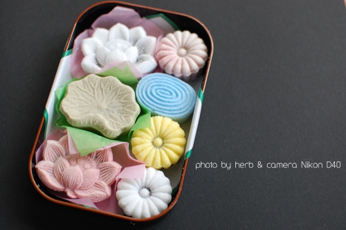 はくせんこう ぐ たら日記 はくせんこう ぐ たら日記