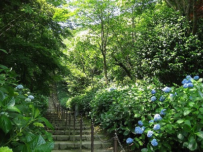 c0229483_13361088.jpg