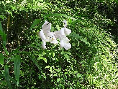 c0229483_1336487.jpg