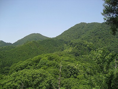 c0229483_13381623.jpg