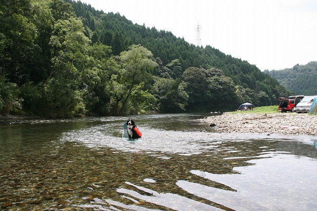b0135889_21195666.jpg