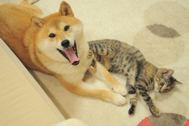疑惑_a0126590_23433093.jpg