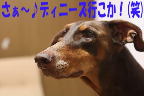 e0100007_21334340.jpg