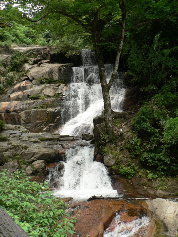 深山峡とイワタバコ_f0219710_7344214.jpg