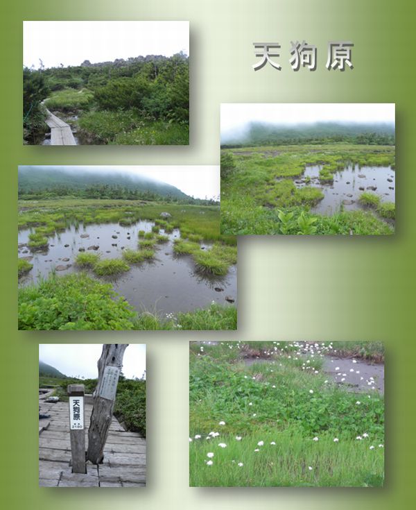c0073016_23415877.jpg