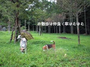c0012120_218596.jpg