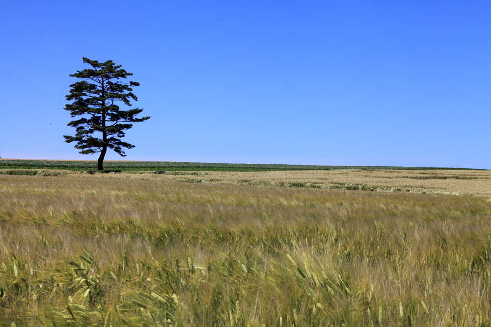 c0140721_20582419.jpg