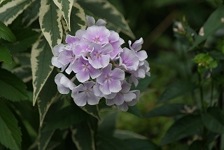 f0170524_13271792.jpg