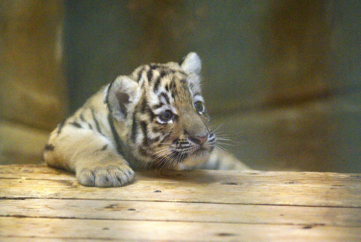a0091329_18224473.jpg