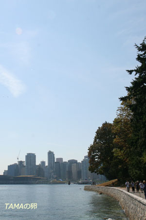 c0024729_1338496.jpg