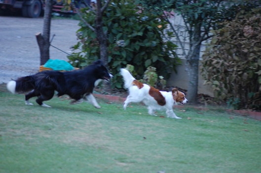f0212733_1036573.jpg