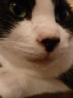 今日の空猫 空編。_a0143140_18331429.jpg
