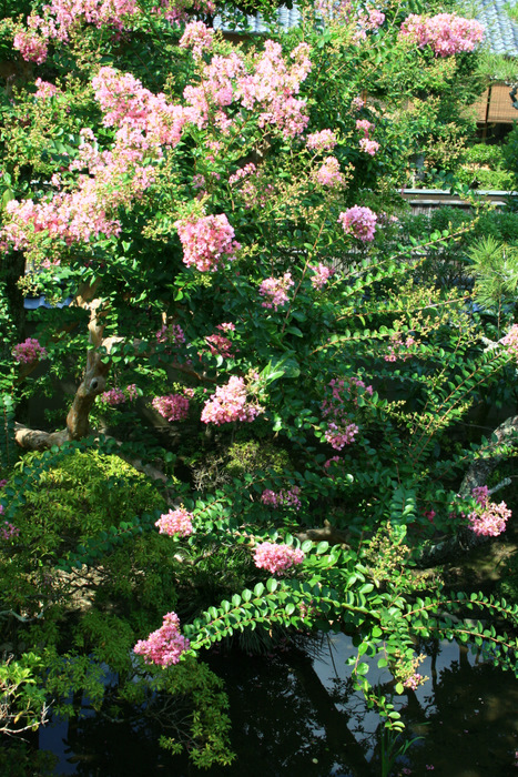 b0168840_23124658.jpg
