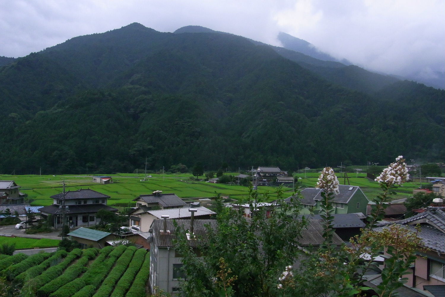山梨へ_f0082141_1313074.jpg