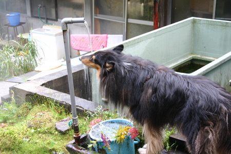 f0219043_654474.jpg
