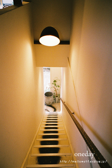 アナログの楽しさ 【NATURA CLASSICA】_d0124248_2055445.jpg
