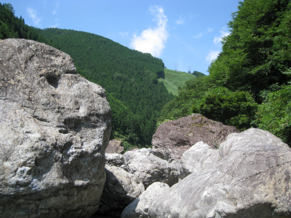 c0145449_2245552.jpg