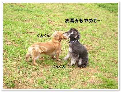 そらまめ初旅行 2日目(レジーナの森~羽鳥湖高原)_c0180949_129468.jpg