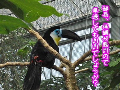 b0185650_2317026.jpg