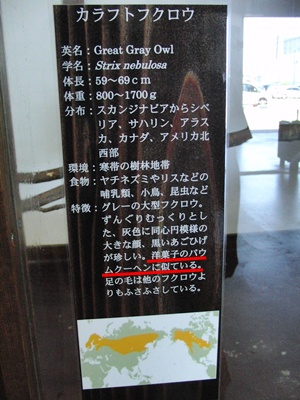b0185650_23215666.jpg