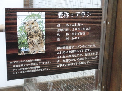 b0185650_23251430.jpg