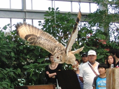 b0185650_23292052.jpg