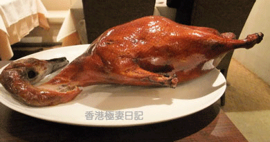 f0190653_911950.gif