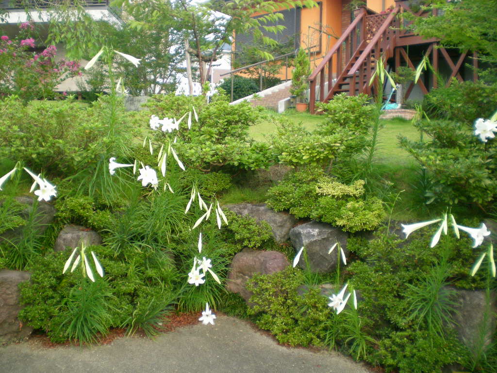 2010年 8月18日(水)「エリザベート」を観に行ったよ!_f0060461_10353548.jpg