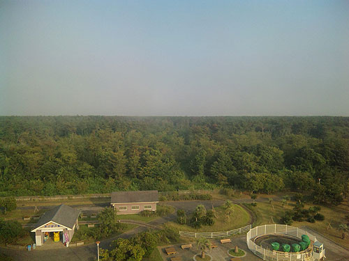 b0101263_10504160.jpg