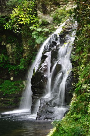 e0164563_9324.jpg