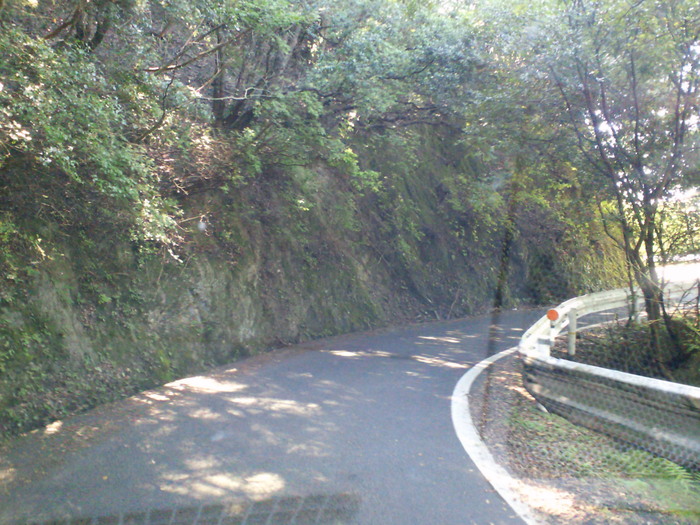 c0001670_16584266.jpg
