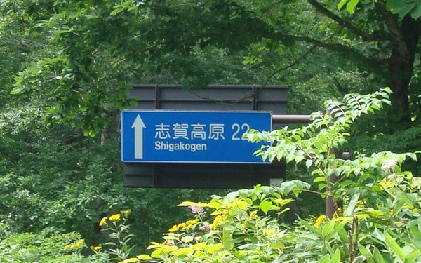 d0130980_21353912.jpg