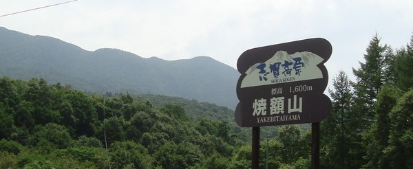 d0130980_21354751.jpg