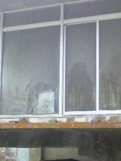 f0228680_1822261.jpg