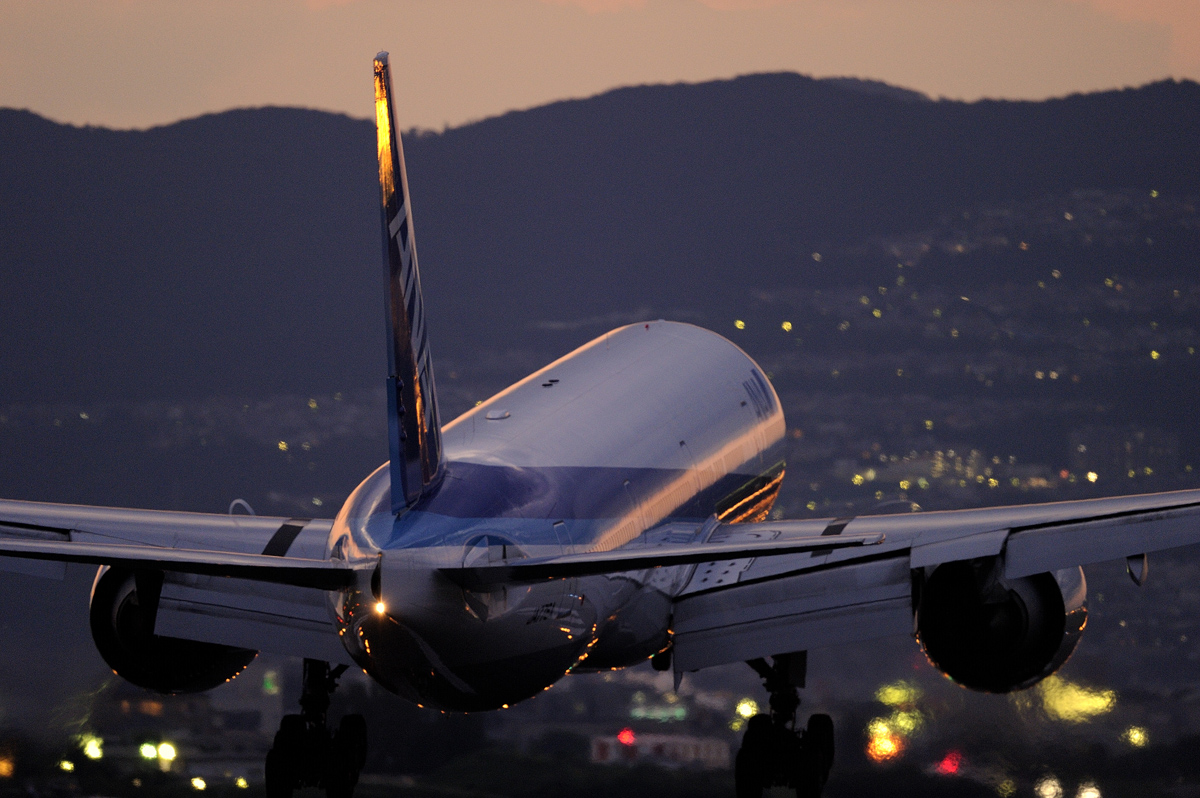 a0152386_035741.jpg