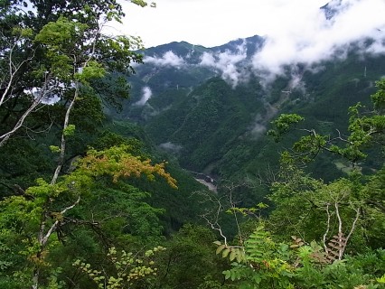 f0079890_18373355.jpg