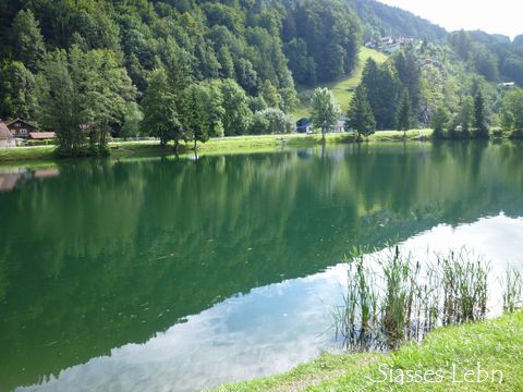 釣り堀で釣り_e0088895_2033674.jpg